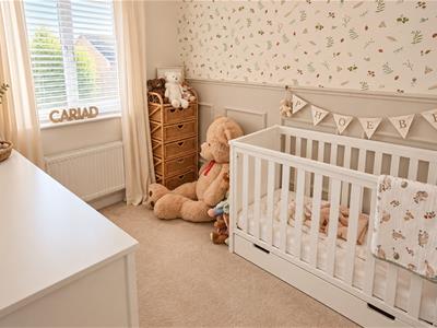 Picture 9